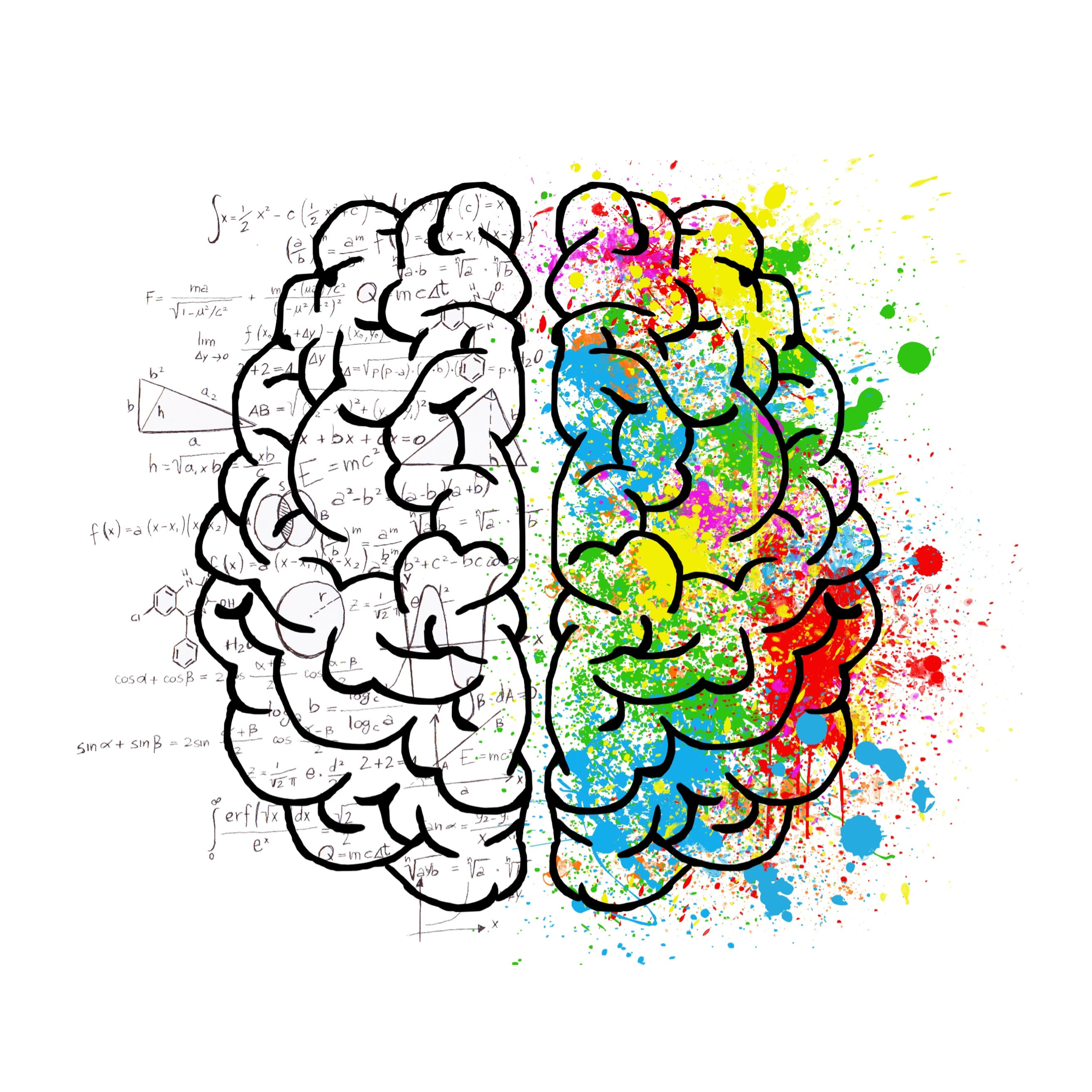 La kinésiologie brain