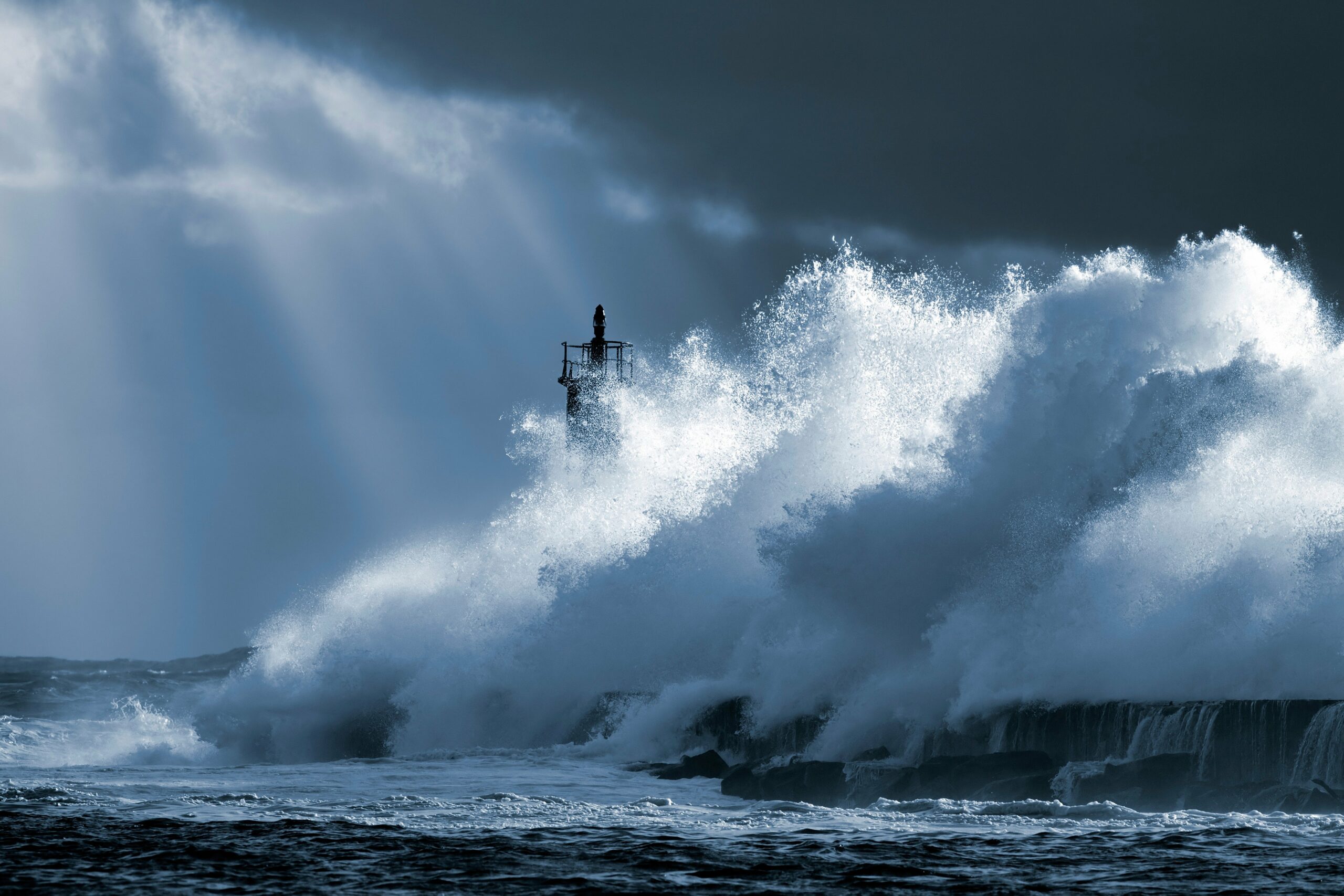 La kinésiologie fiquetdidier1 storm 7018311